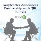 Qlik Partnership